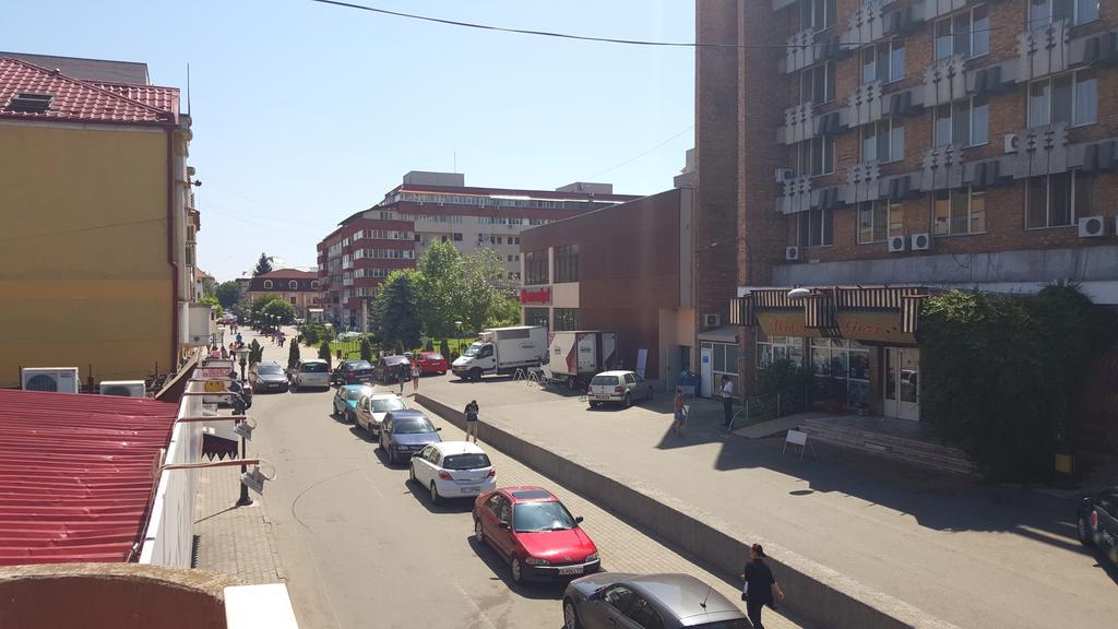 Отель Casa Alex Тыргу-Жиу Номер фото